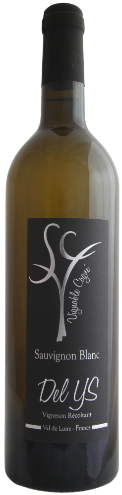 Vignoble  Cogné - Del YS 2021
