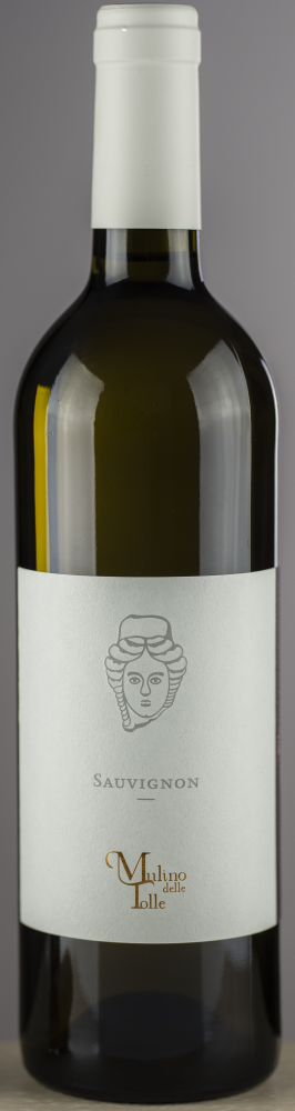 Mulino delle Tolle Sauvignon 2021