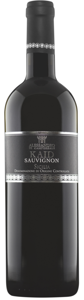 Kaid Sauvignon 2021
