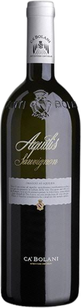 Aquilis 2019