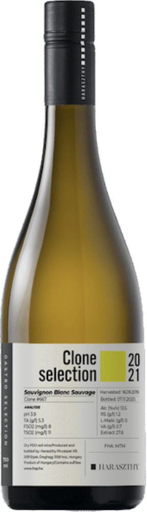 Haraszthy Clone SAuvignon 2021
