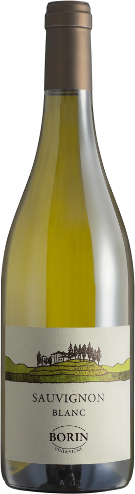 Borin Sauvignon Blanc 2022