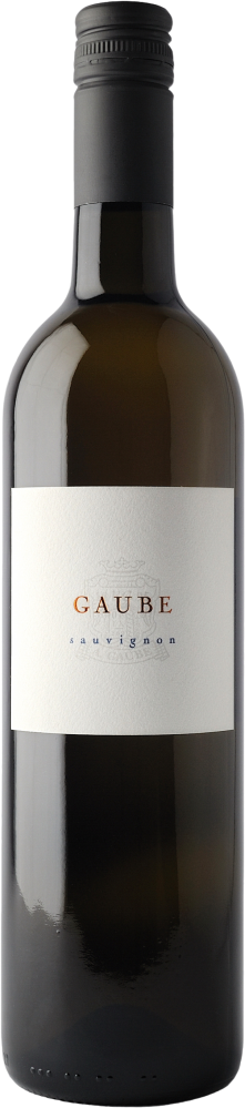 Vino Gaube Sauvignon 2022