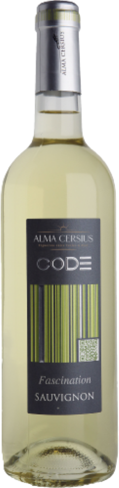 Code Facsination 2024