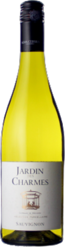 Jardin des Charmes Sauvignon 2024