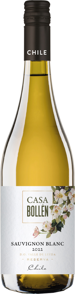 Casa Bollen Reserva Sauvignon blanc 2024