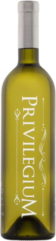 Privilegium Sauvignon Blanc 2024