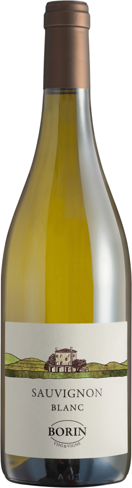 Borin Vini e Vigne Sauvignon blanc 2024