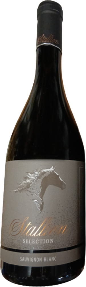 Stallion Selection Sauvignon Blanc 2024