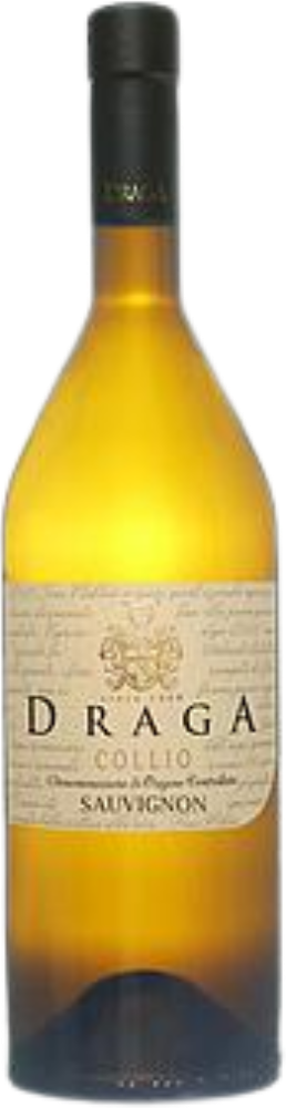 Sauvignon Draga 2024