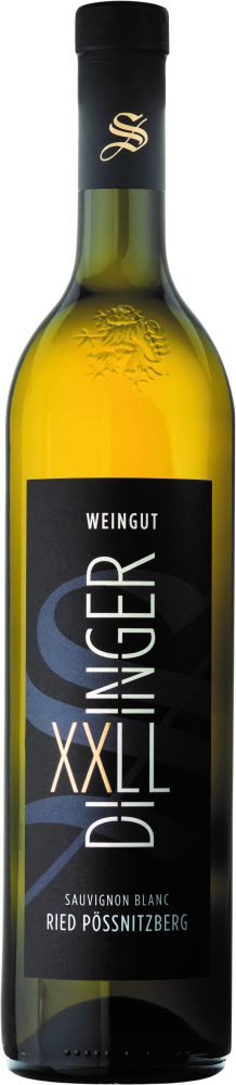 Dillinger Sauvignon Blanc Ried Hoch Pössnitzberg 2022