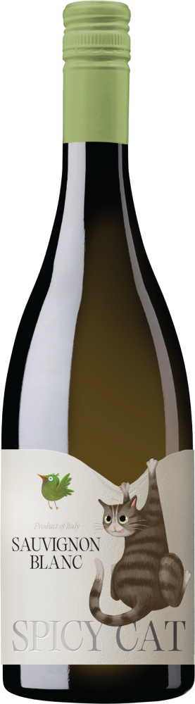 Sauvignon Blanc Spicy Cat 2025