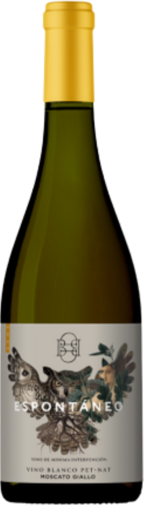 Espontáneo Sauvignon Blanc 2023