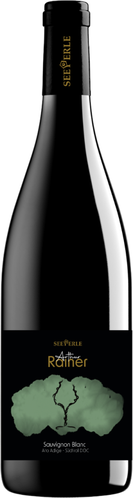 Arthur Rainer Sauvignon Blanc 2024