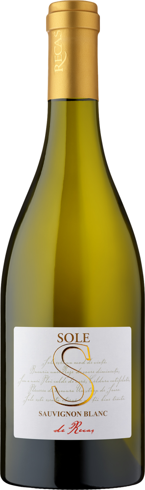 Sole Sauvignon Blanc 2025