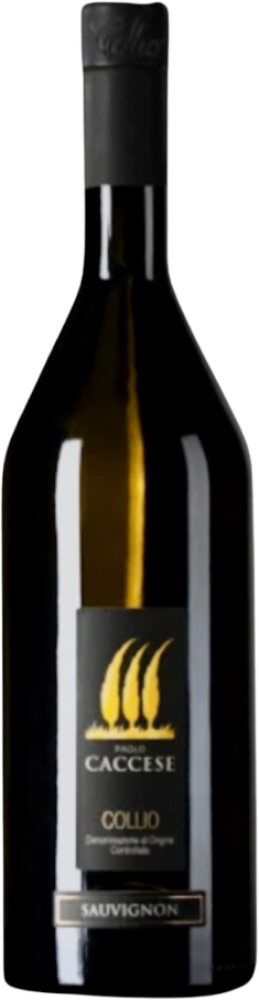 Paolo Caccese Sauvignon 2024