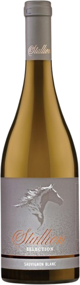 Stallion Selection Sauvignon Blanc 2025