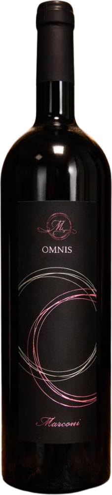 Omnis 2024