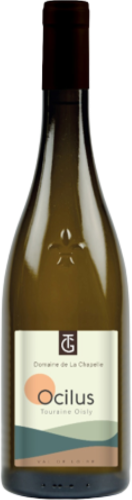 Ocilus 2023